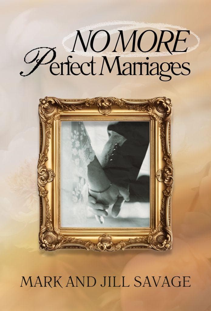 No More Perfect Marriages image
