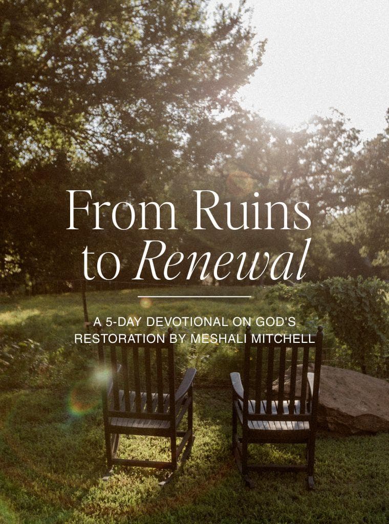 From Ruins to Renewal image