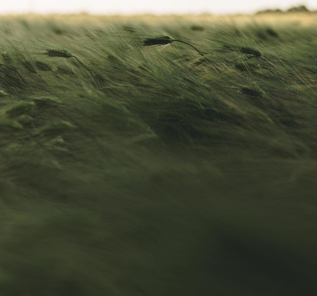 Be Intentional: Choose Wisely image