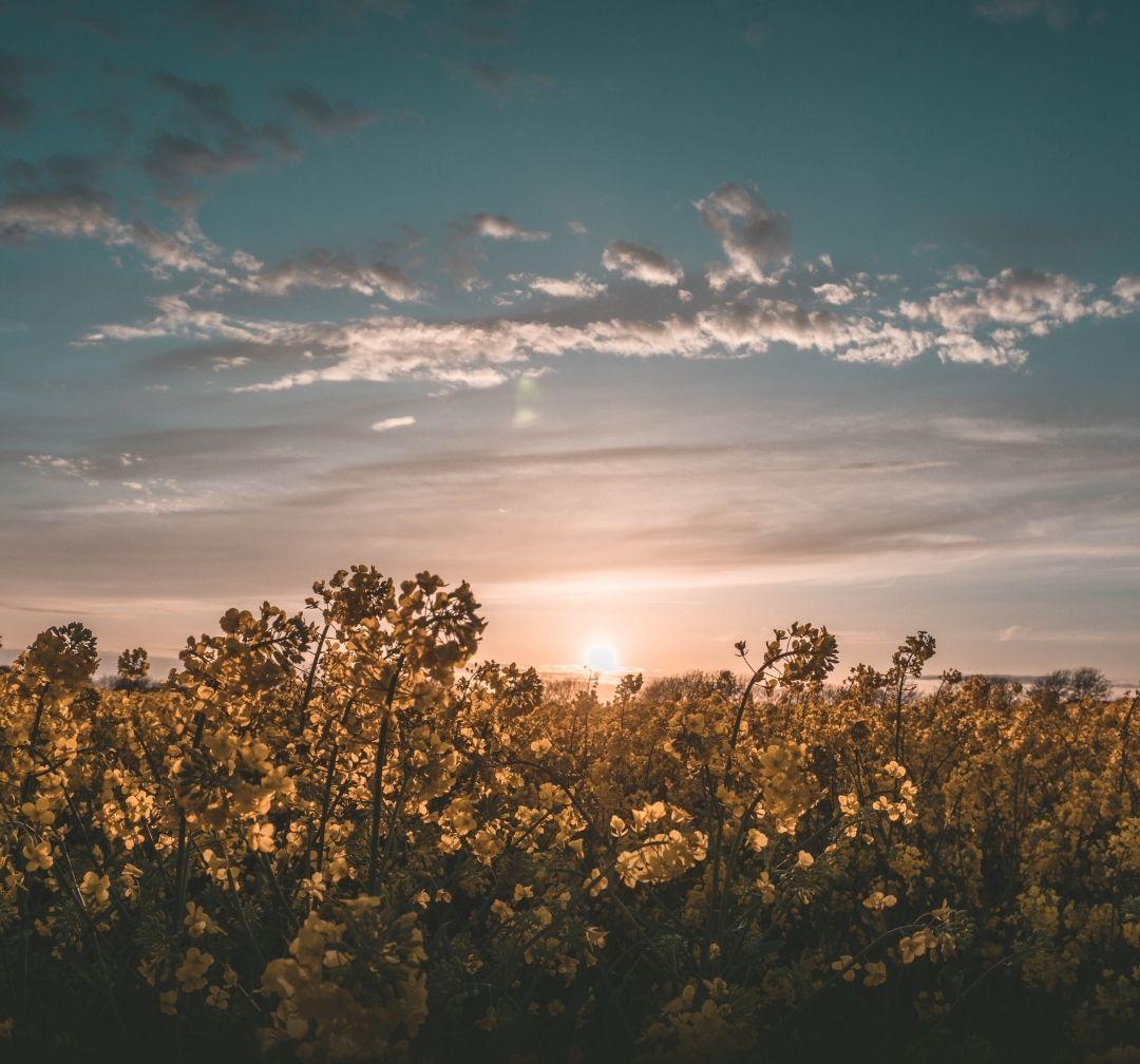 Parables of Grace: Embrace God's Love for Youimage