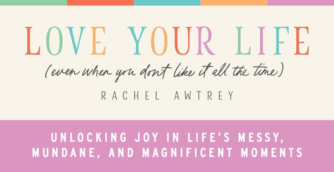 Love Your Life (Even When You Don't Like It All the Time) image