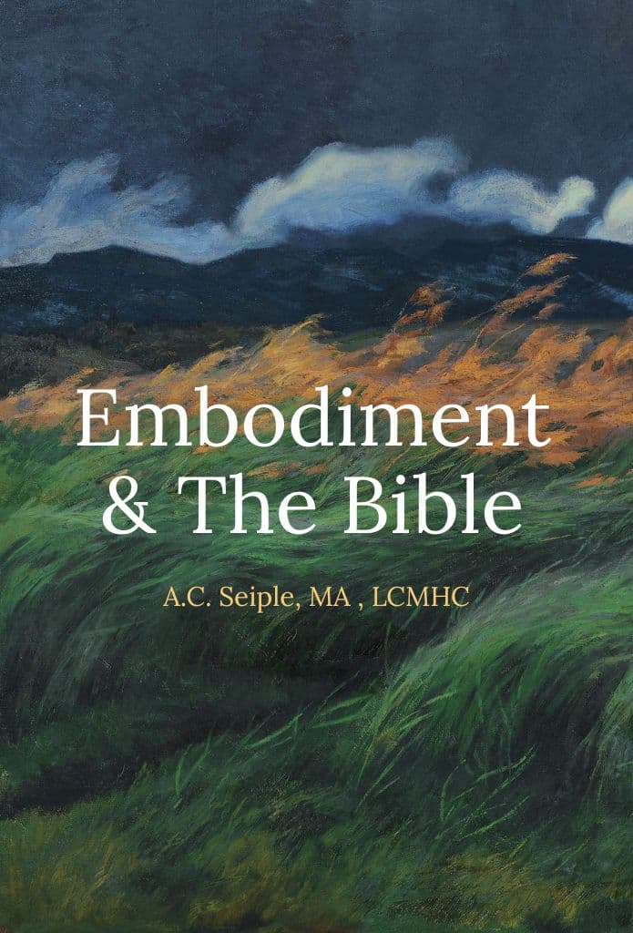 Embodiment & The Bible image