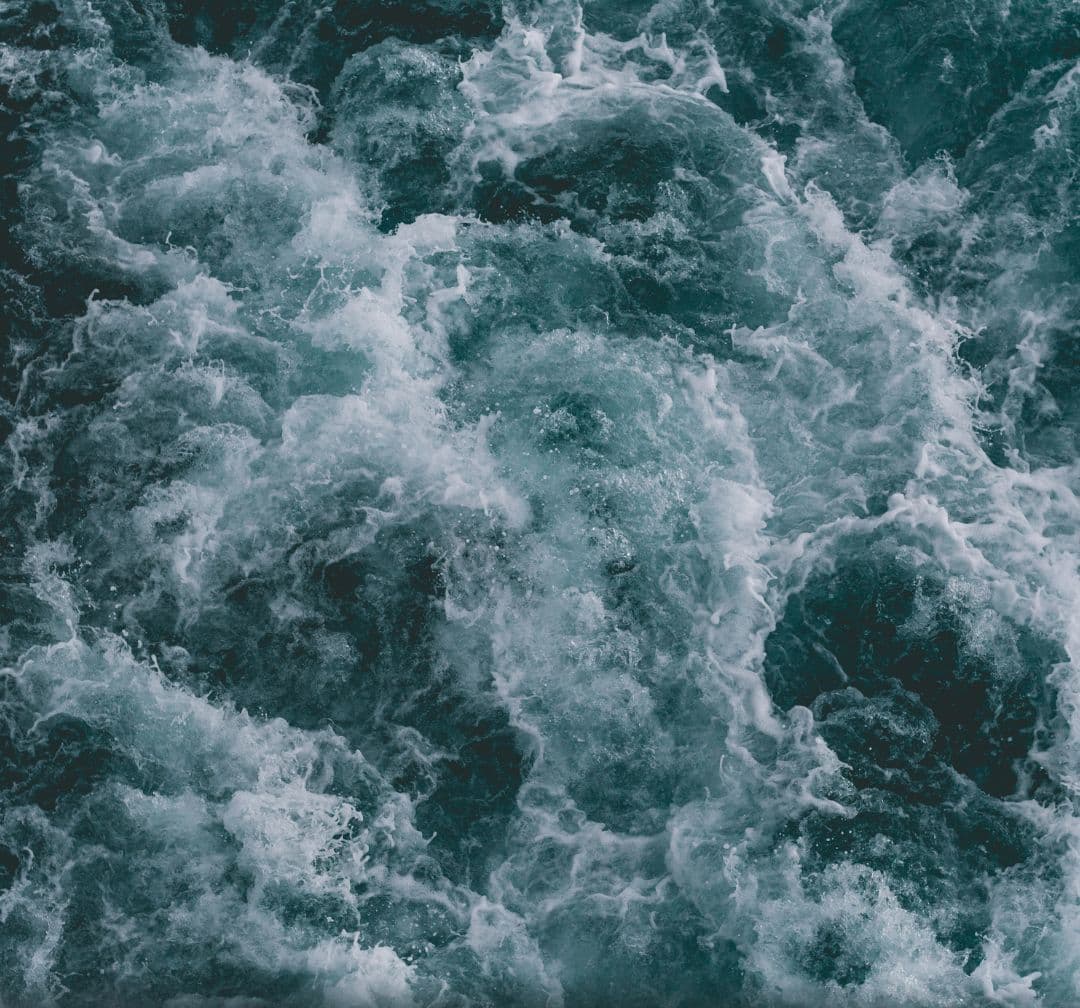 The Rules of Resilience: How to Thrive in a World of Change and Uncertainty image