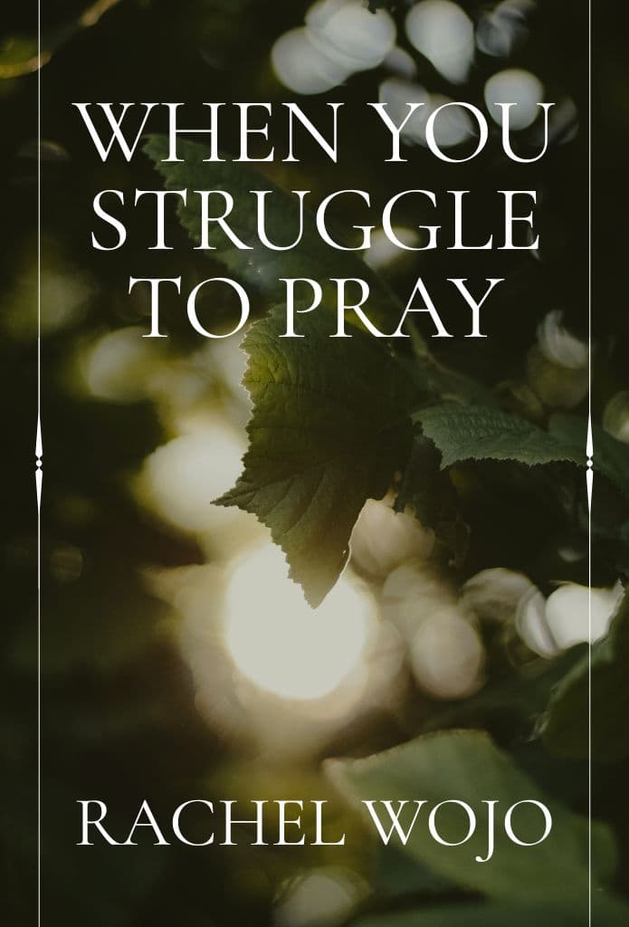 When You Struggle to Pray image