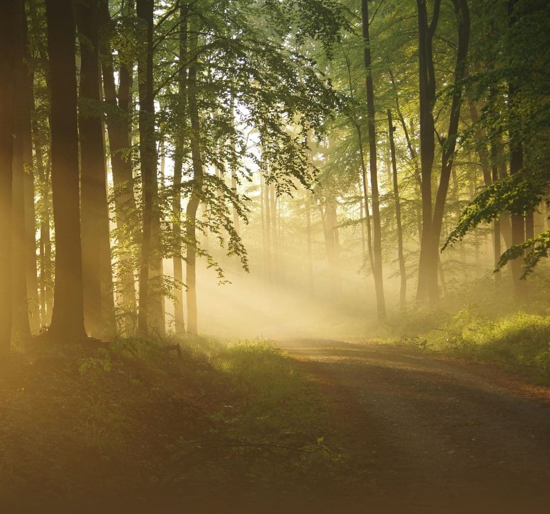 When You Struggle to Pray image