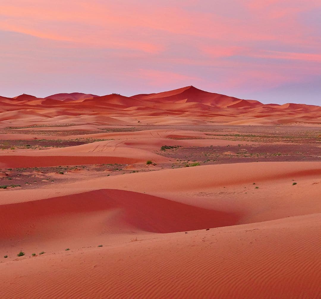 Deserts: God's Provision in the Wildernessimage