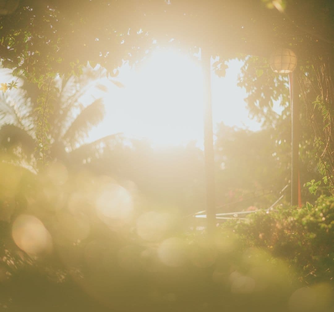 Jesus Every Day image