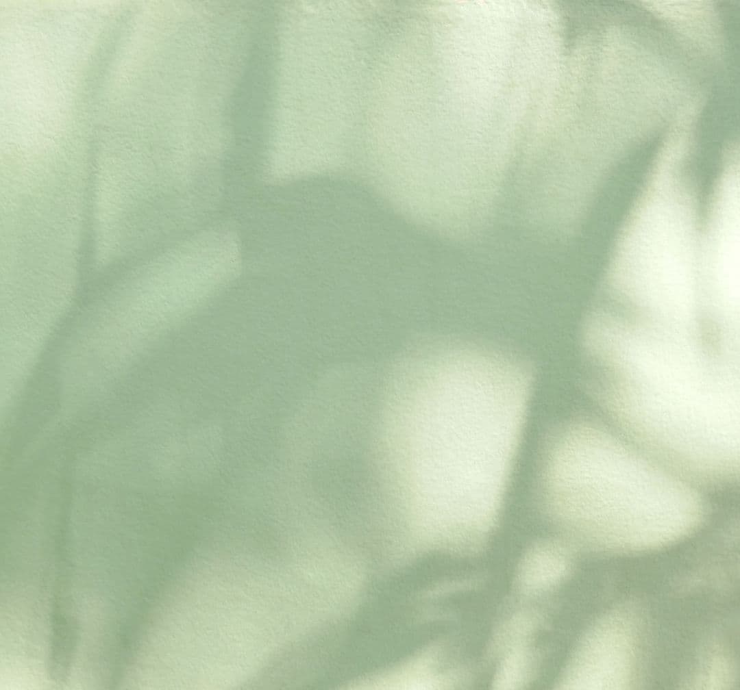 Life Application Study Bible image