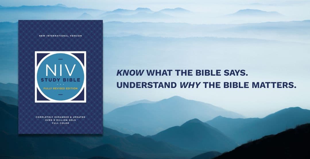NIV Study Bible image