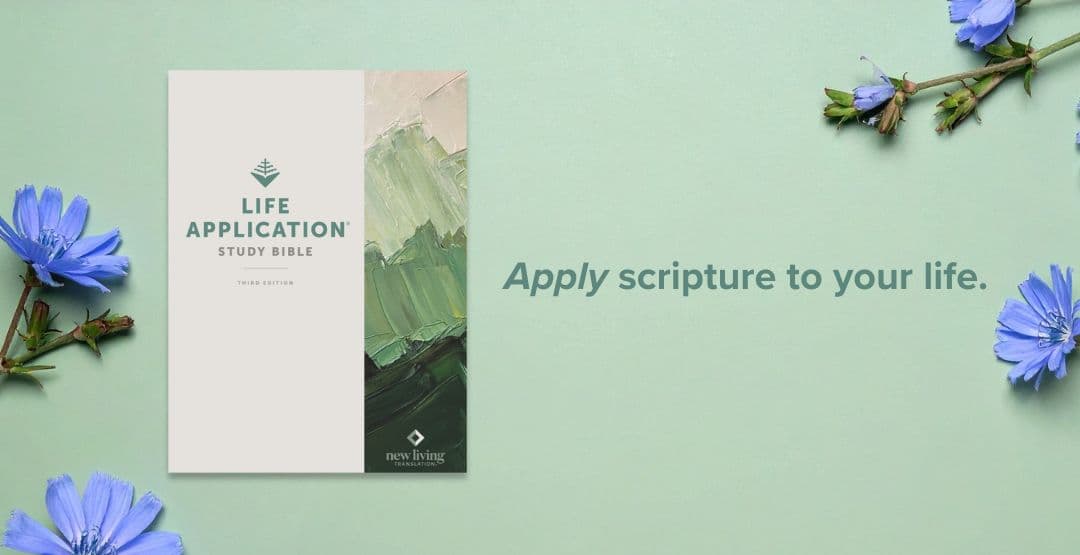 Life Application Study Bible image