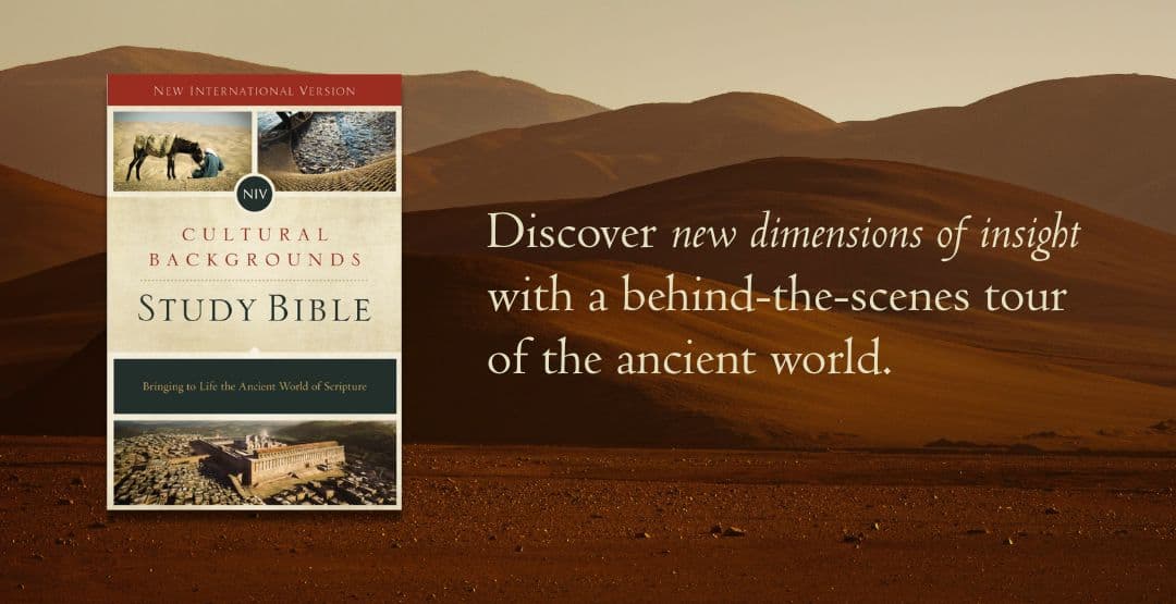 NIV Cultrual Backgrounds Study Bible image
