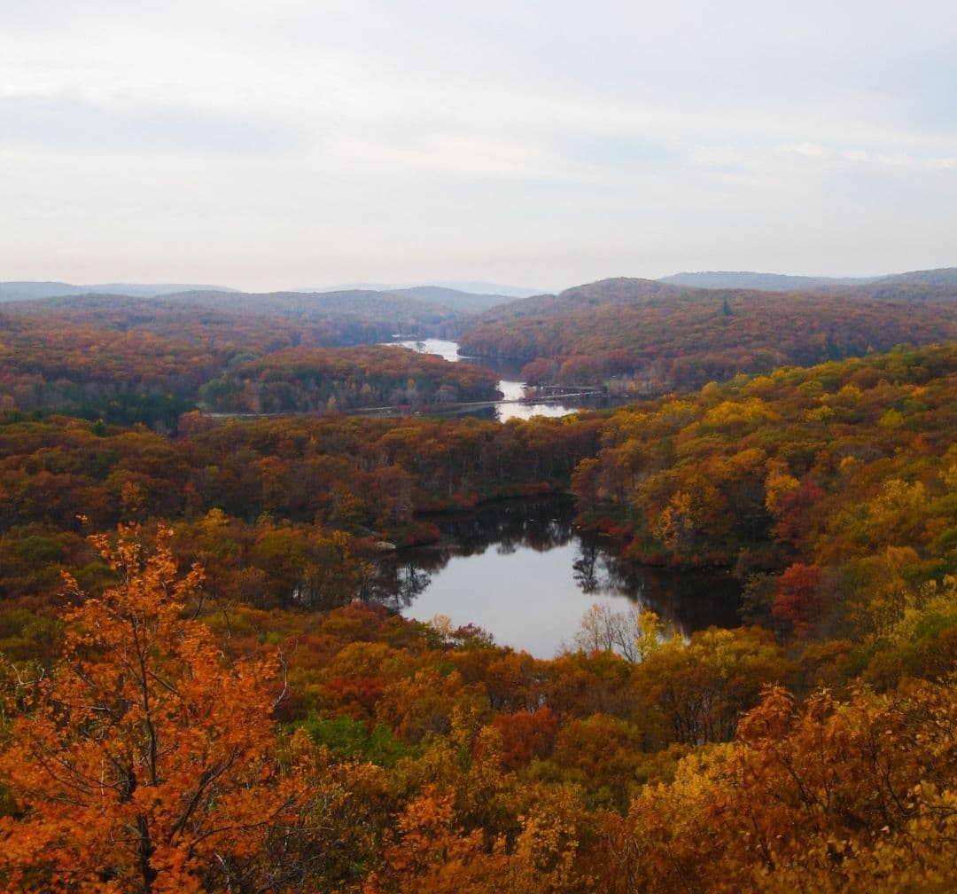 All In, All Yours: Stepping into God's Peace and Promises image