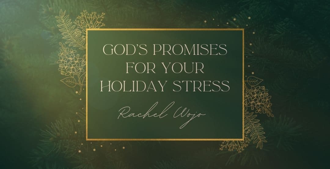 God's Promises for Your Holiday Stress image