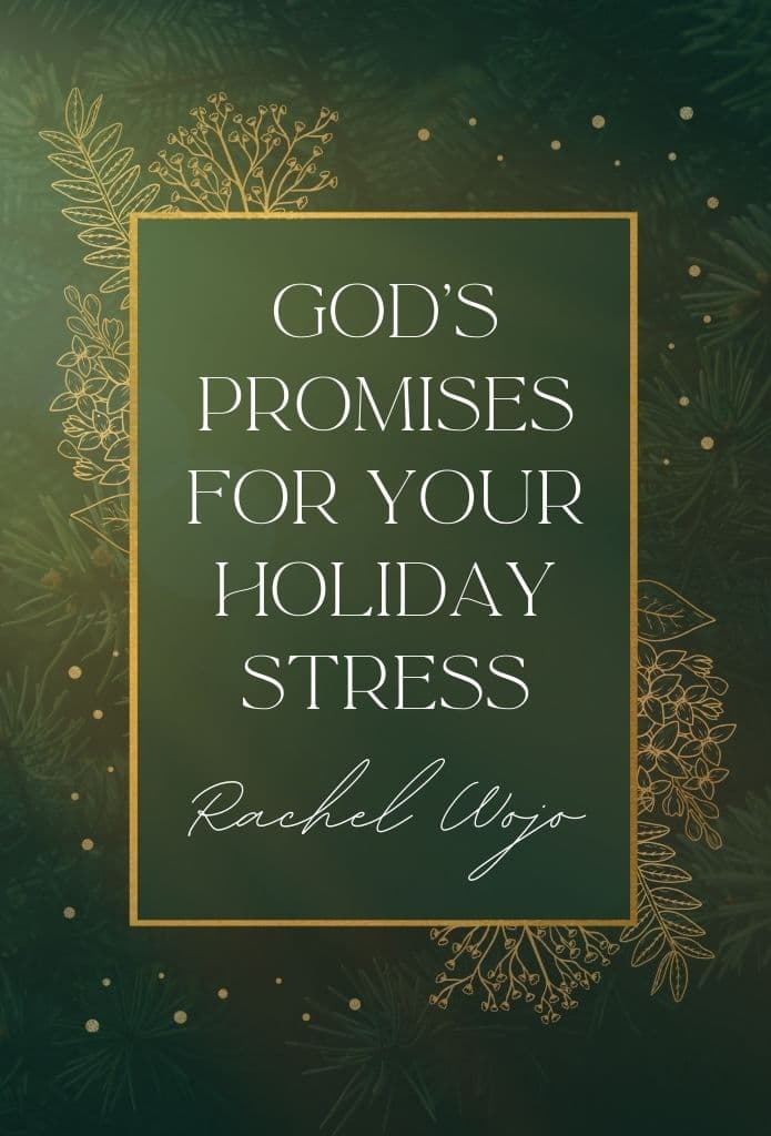 God's Promises for Your Holiday Stress image