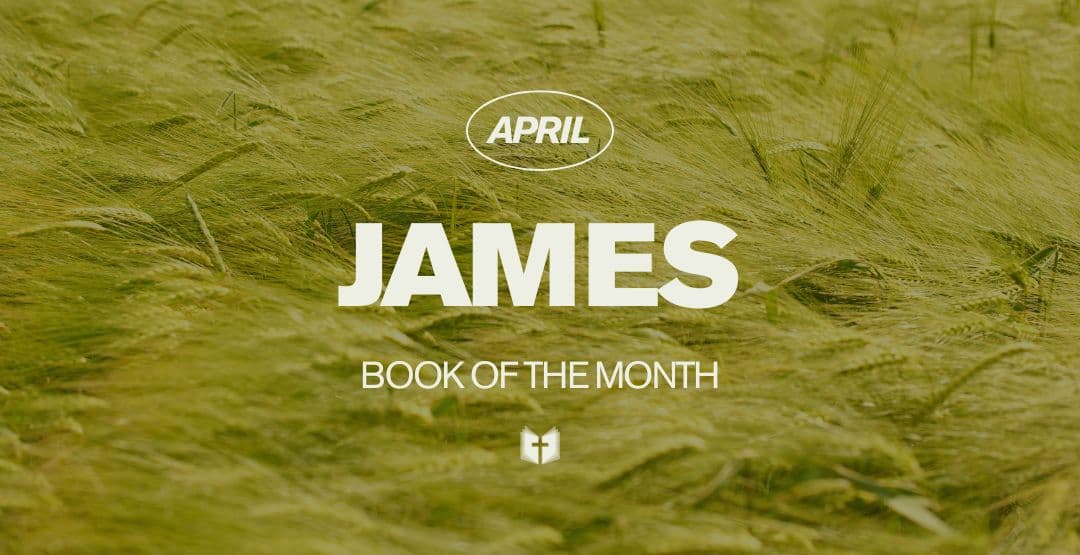 (4/26) Book of the Month: James image