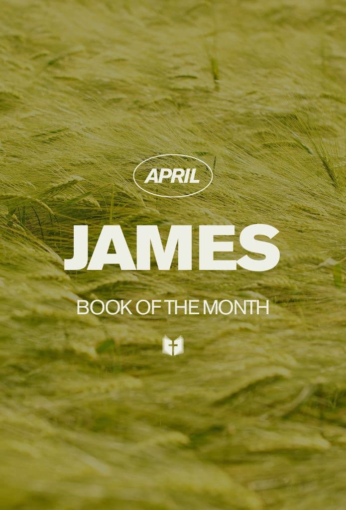 (4/26) Book of the Month: James image