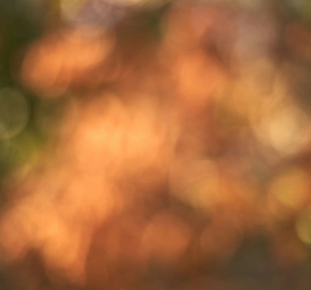 Faithful Focus in a Distracted Culture image