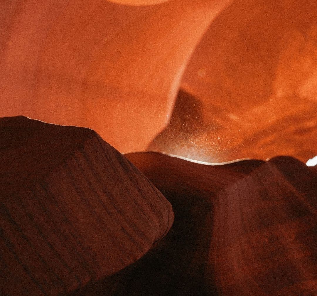 Forgiveness Through the Psalms image