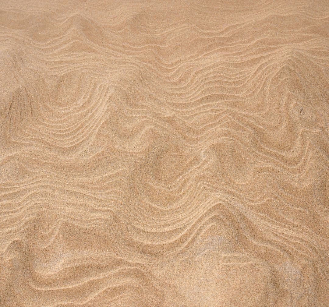 Cultivating a Still Heart in a Noisy World image