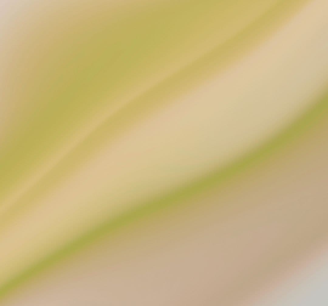 Can I Be Satisfied? image