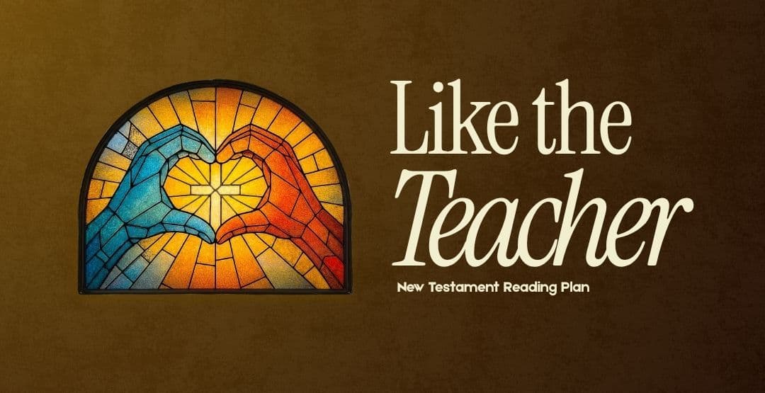 Like the Teacher