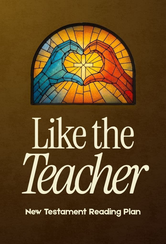 Like the Teacher