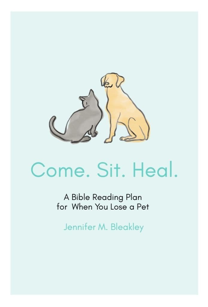 Come. Sit. Heal.