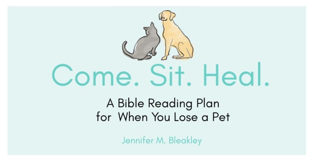 Come. Sit. Heal.