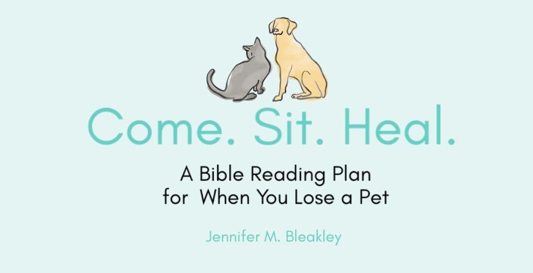 Come. Sit. Heal.