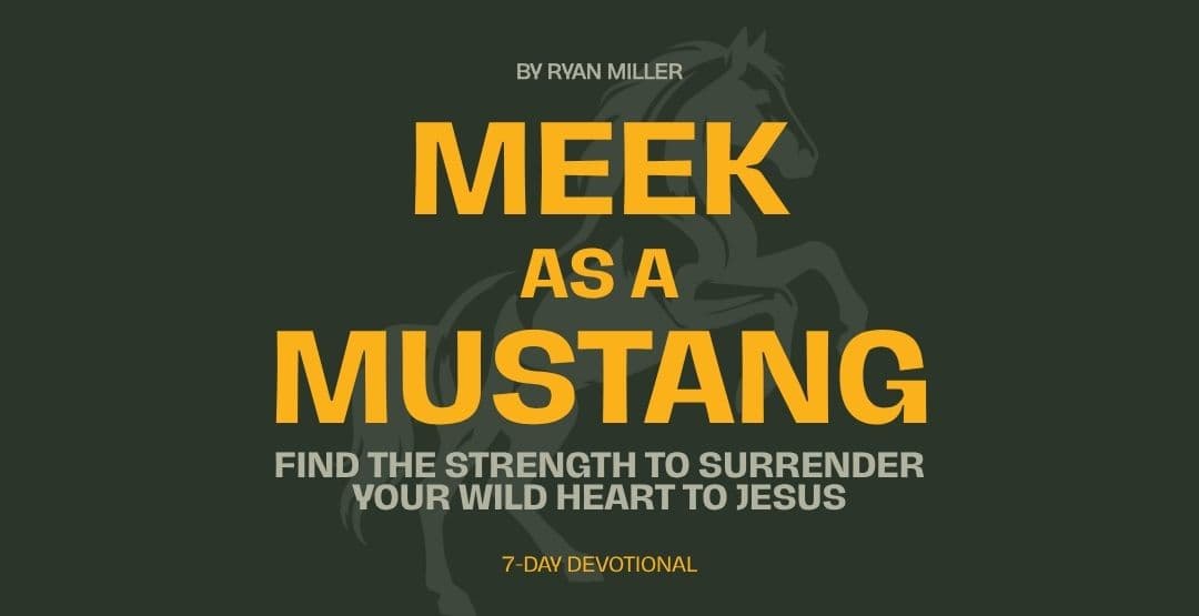 Meek as a Mustang: Find the Strength to Surrender Your Wild Heart to Jesus