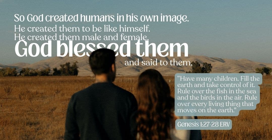 Placeholder App Image