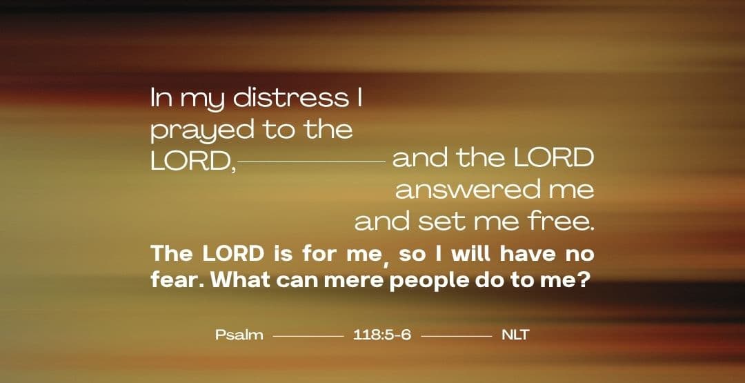 Placeholder App Image