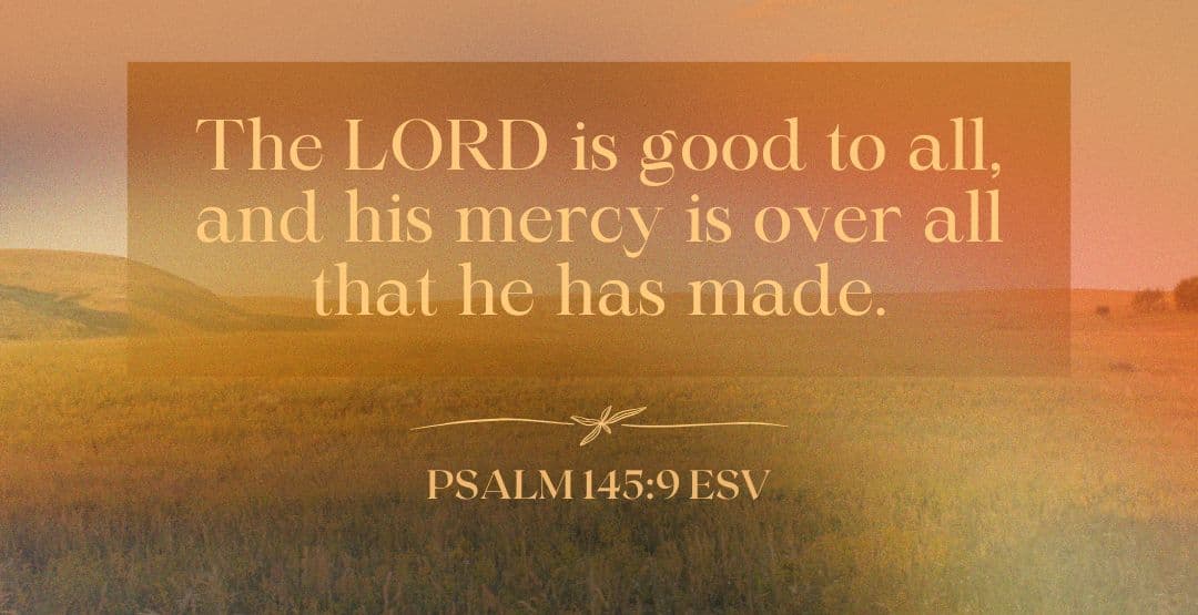 Placeholder App Image