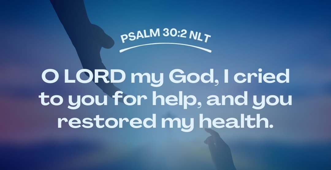 Placeholder App Image