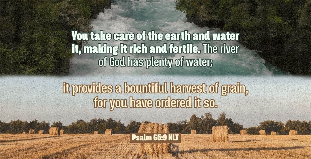 Placeholder App Image