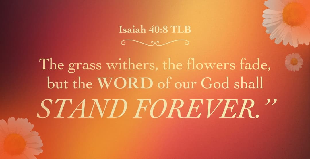 Placeholder App Image