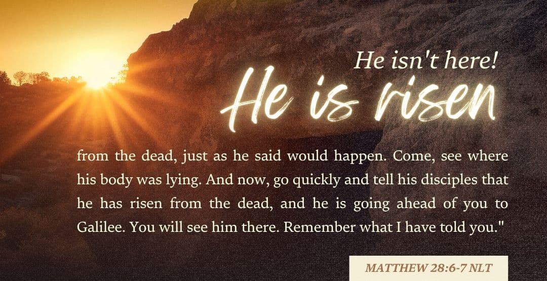 Placeholder App Image