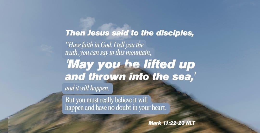 Placeholder App Image