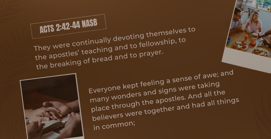 Placeholder App Image