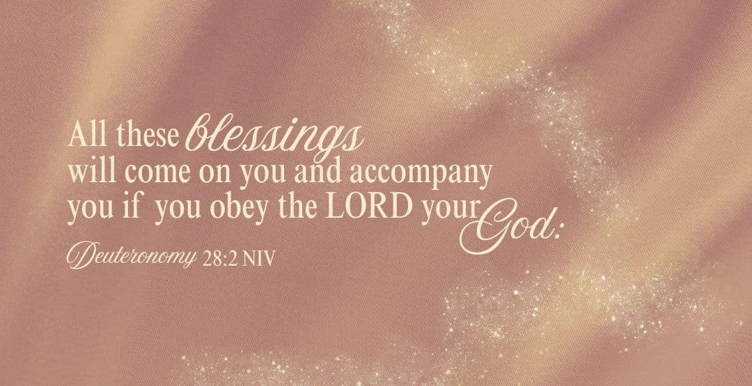 Placeholder App Image