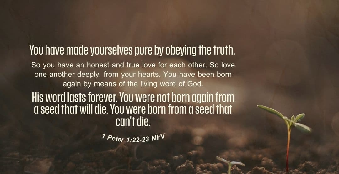 Placeholder App Image